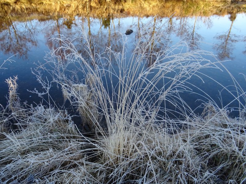 Frost on the Loch