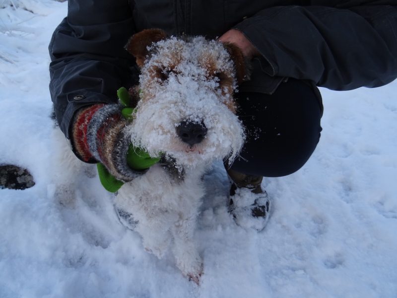 A snowy walk in Ardgour