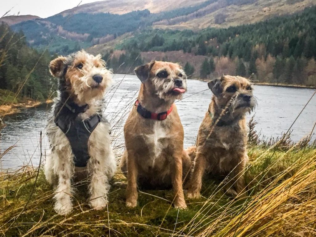 ard daraich Crinan and his two girlfriends