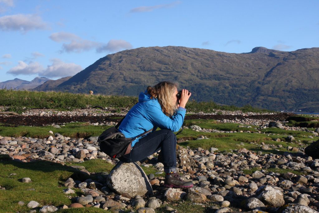 ard daraich self catering bird watching